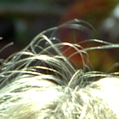 MarcieHair_Keys-1